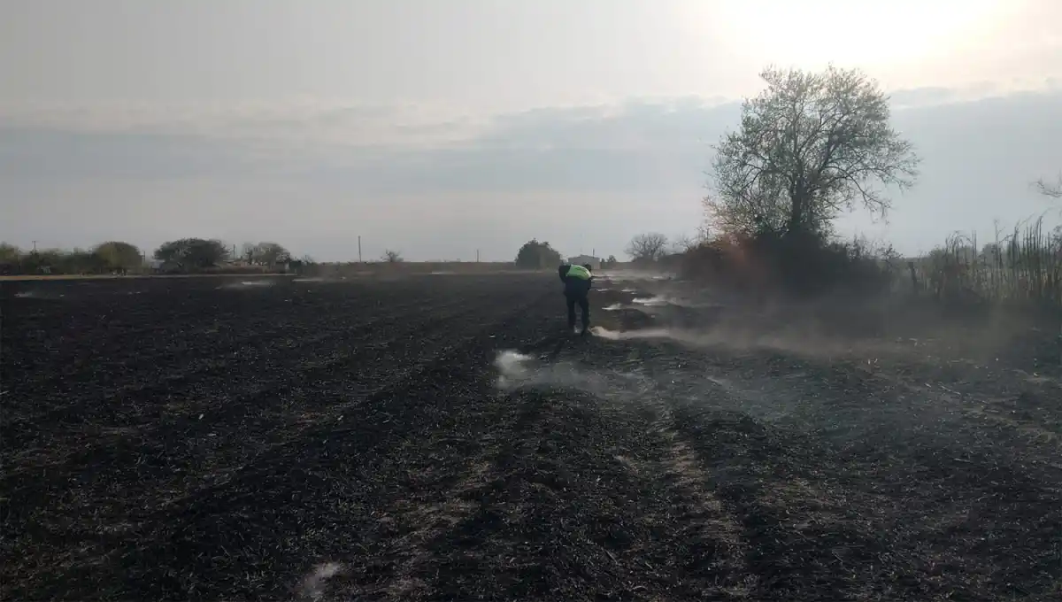 Quema sofocada en La Florida. 