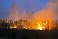Sofocaron cinco incendios en cañaverales en menos de cuatro horas