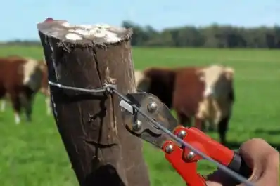 Delitos rurales en Tucumán: lanzan un instructivo y un listado de oficinas para denunciar