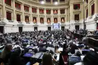 Revés para el Gobierno: Diputados rechazó el veto de Milei a la Ley de Emergencia en Discapacidad