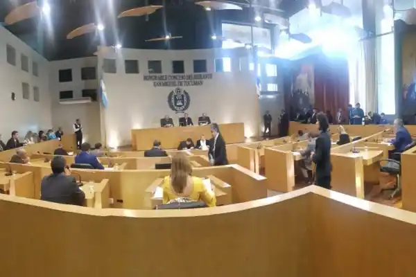 El Concejo Deliberante capitalino lleva al recinto reclamos para el Gobierno nacional