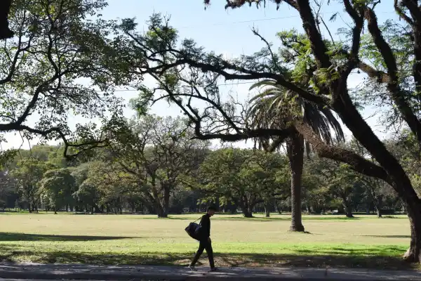 Contaminación del aire en Tucumán: los niveles superaron hasta siete veces lo recomendado por la OMS
