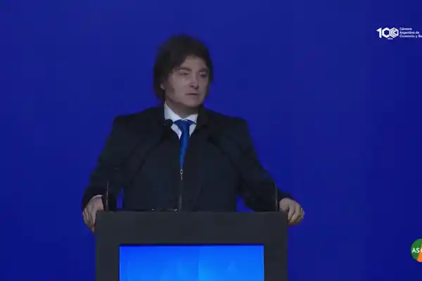 Un fraude moral: Javier Milei cuestionó las candidaturas testimoniales