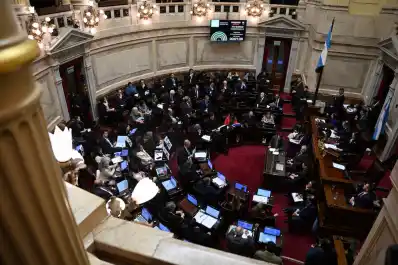 Nuevo revés en el Senado: el Gobierno se quedó sin decretos desregulatorios