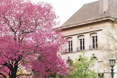 La tucumana que hizo florecer Buenos Aires: Karina Azaretzky