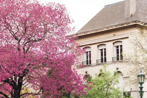 La tucumana que hizo florecer Buenos Aires: Karina Azaretzky