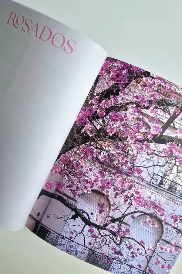 La tucumana que hizo florecer Buenos Aires: Karina Azaretzky