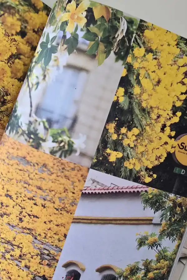 La tucumana que hizo florecer Buenos Aires: Karina Azaretzky