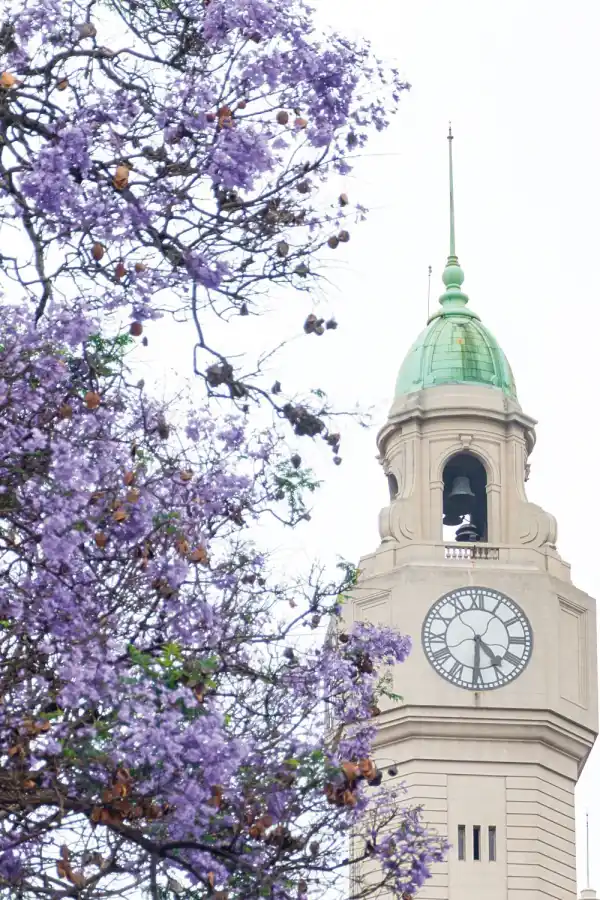 La tucumana que hizo florecer Buenos Aires: Karina Azaretzky