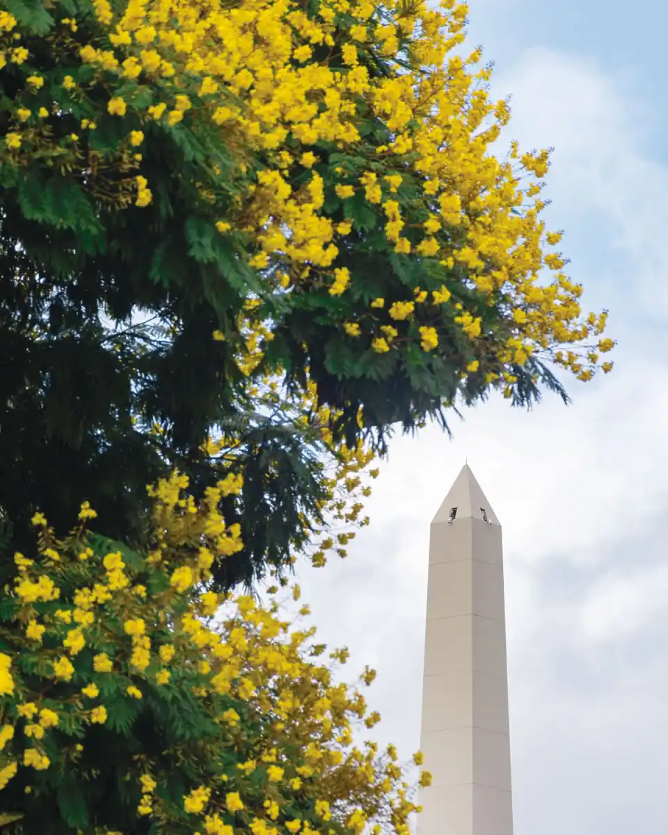 La tucumana que hizo florecer Buenos Aires: Karina Azaretzky