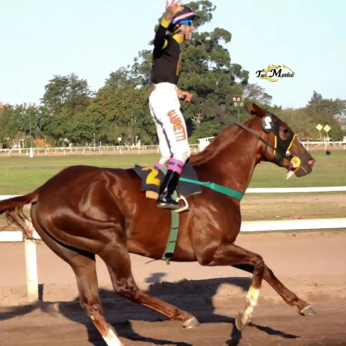 GRAN SUPERIORIDAD. El potrillo Mock Joy derrotó por 16 cuerpos a The Coach en el clásico “General San Martín”.