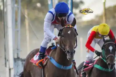 He’s A Rockstar mostró su poderío y le apunta al Gran Premio Batalla de Tucumán
