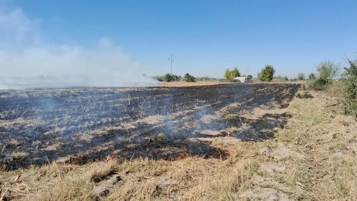 Incendio en finca San Jorge, Leales: ardieron tres hectáreas de restos de caña en terrenos en venta