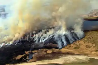 Recorte sobre el cuidado del ambiente: los fondos bajaron hasta un 80%