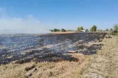 Incendio en finca San Jorge, Leales: ardieron tres hectáreas de restos de caña en terrenos en venta