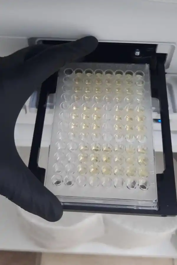 Advierten sobre el riesgo que corre el suelo de los cañaverales