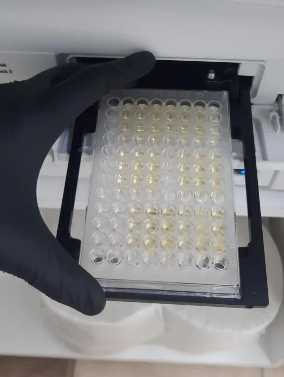 Advierten sobre el riesgo que corre el suelo de los cañaverales