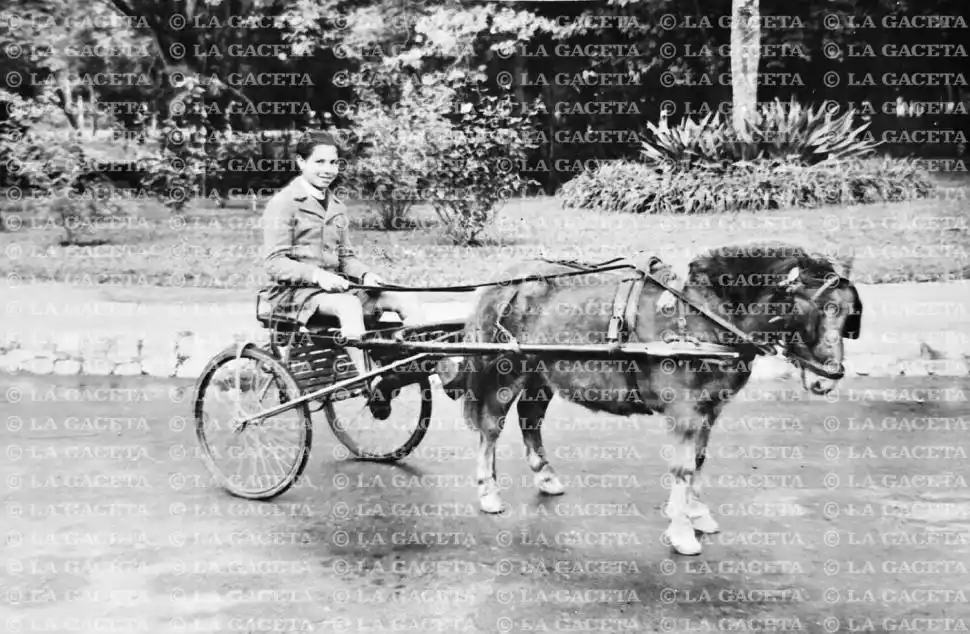 Recuerdos fotográficos: 1943. Habilitan sulkys con caballos petisos en el parque