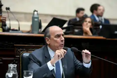 El Gobierno promulgará la ley de Emergencia en Discapacidad, pero todavía no la aplicará