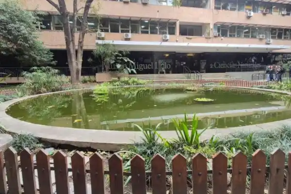 El estudio de insectos tomará forma de congreso en Tucumán