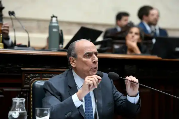 El Gobierno promulgará la ley de Emergencia en Discapacidad, pero todavía no la aplicará