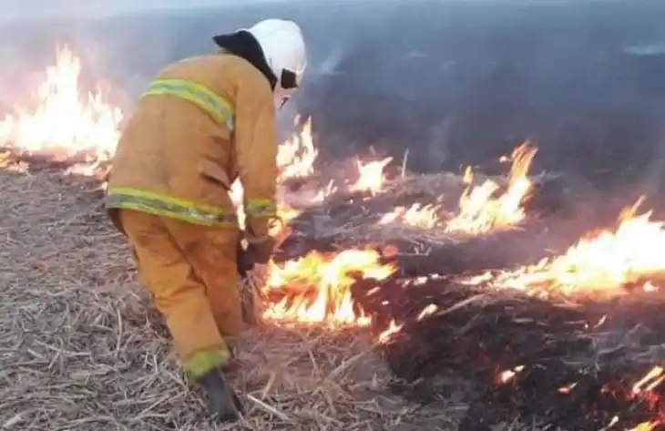 Se registraron 32 denuncias por incendios de cañaverales, pastizales y basurales
