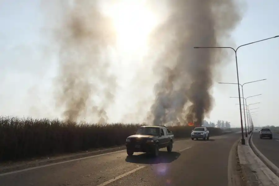 El Ministerio Público Fiscal abrió más de una veintena de causas por las quemas quemas de cañaverales y pastizales