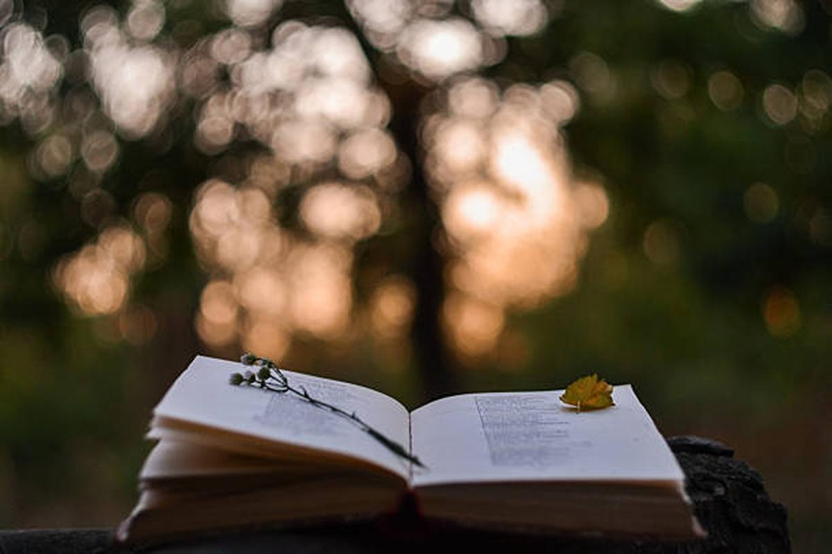 Con el lema "contempla el milagro", empieza Nature Poetry Competition 2025