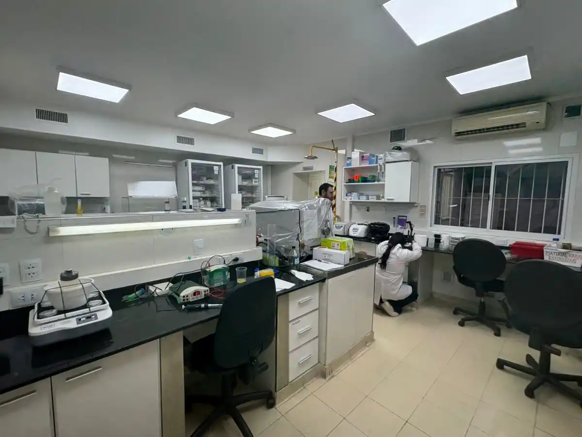 EN EL LABORATIO. Durante varias horas, los estudiantes comparten su pasión por investigar. / VICTORIA REINOSO, LA GACETA.