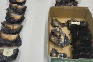 Los afectados por los fuegos pueden canjear los billetes deteriorados en el Banco de España