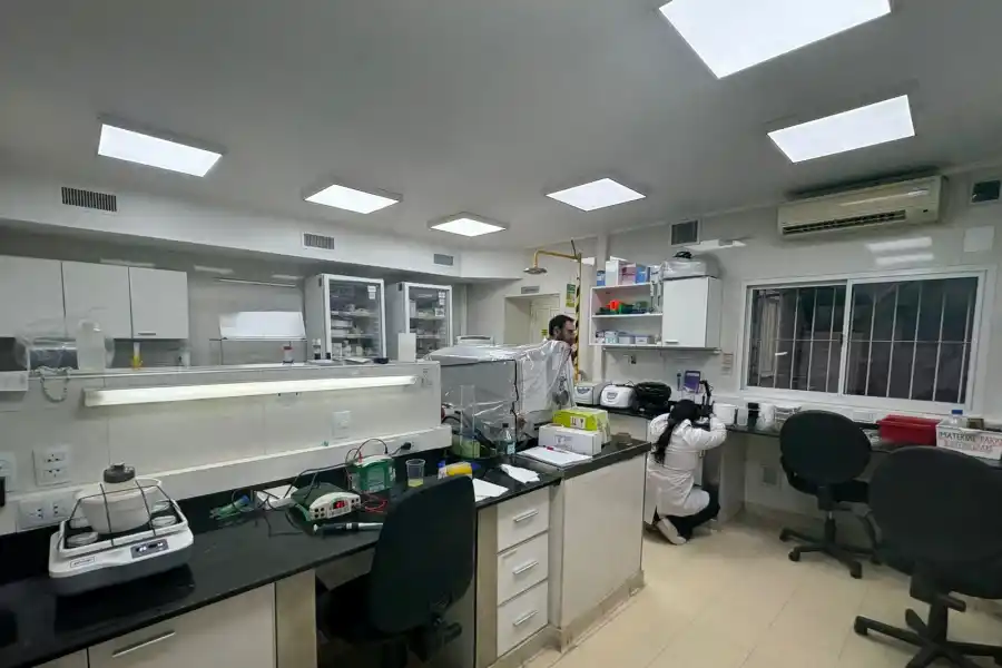 EN EL LABORATIO. Durante varias horas, los estudiantes comparten su pasión por investigar. / VICTORIA REINOSO, LA GACETA.