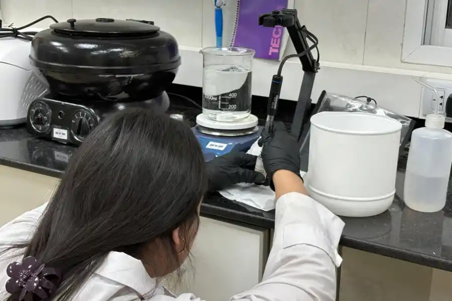 HACIENDO PRUEBAS. Lourdes Agustina Henzelmann (23, quinto año de Biotecnología) desarrolla su tesina centrada en Alzheimer. / VICTORIA REINOSO, LA GACETA