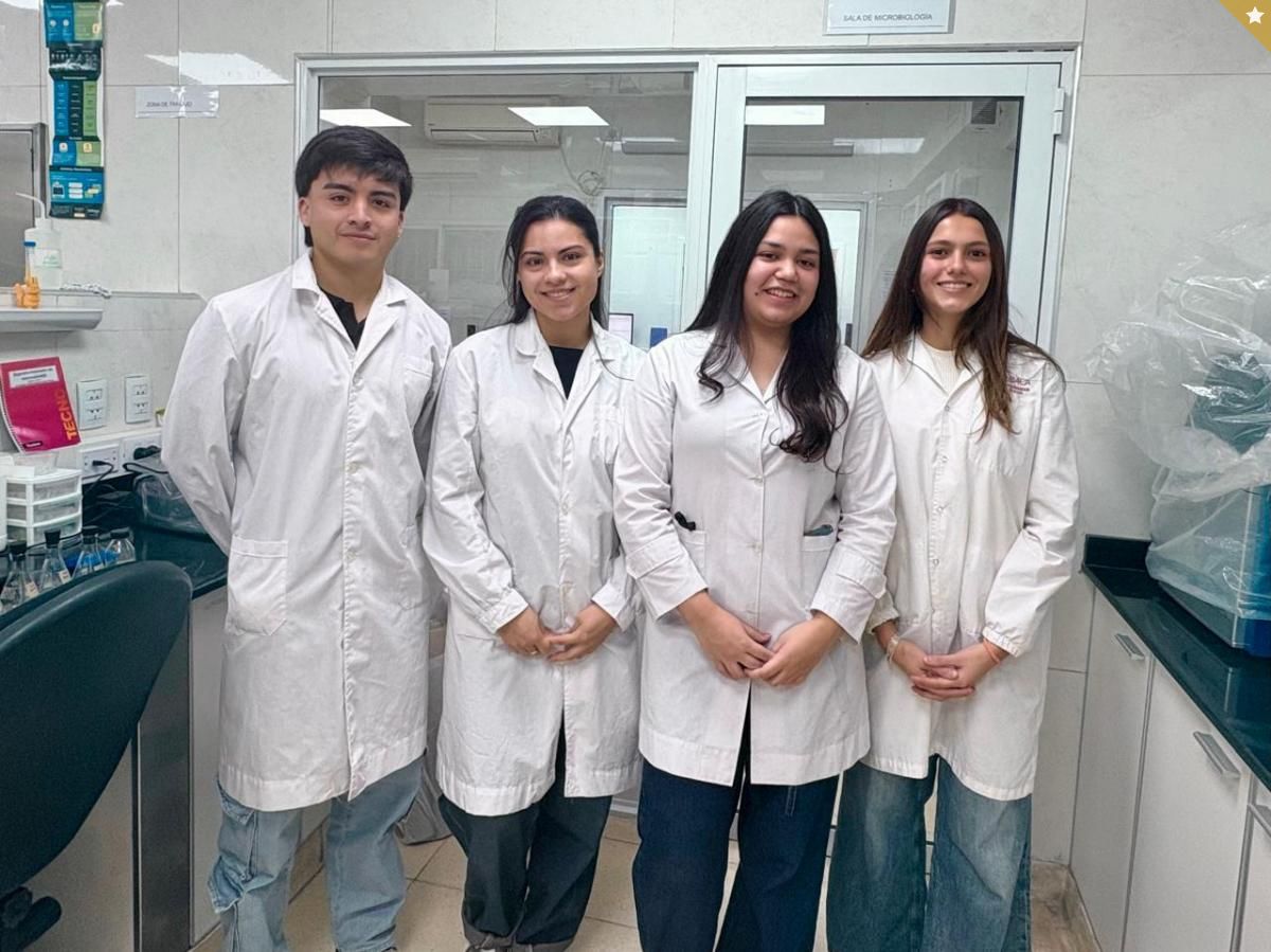Estudiantes de excelencia: cuatro investigadores de Alzheimer y Parkinson