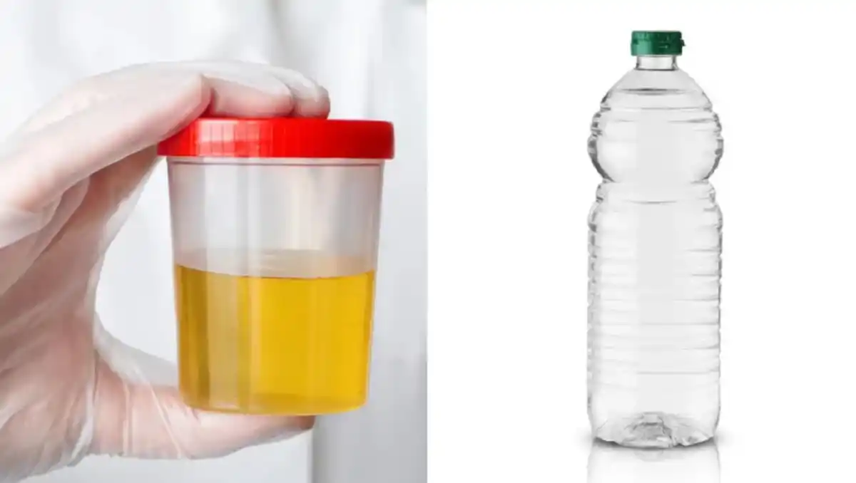 ¡A que no lo sabías! Para qué sirve mezclar vinagre con orina