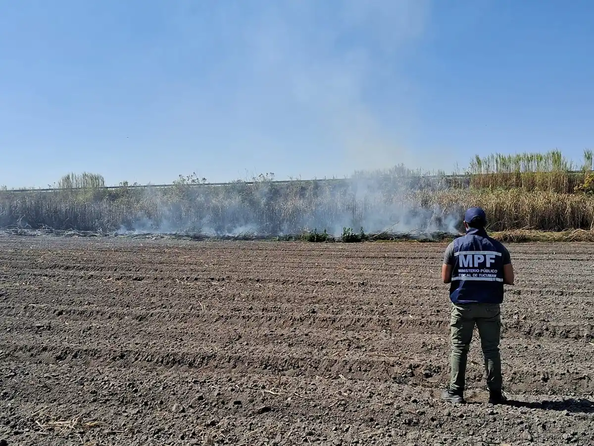 No paran las quemas de cañaverales y pastizales: aprehendieron a cuatro personas