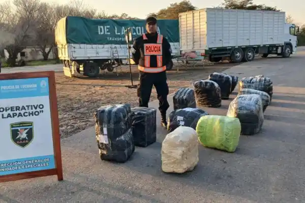 Narcotráfico y contrabando: en el Operativo Lapacho se realiza un control casi artesanal para revisar los camiones