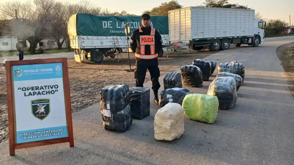 PRUEBA. La mercadería encontrada en un camión.