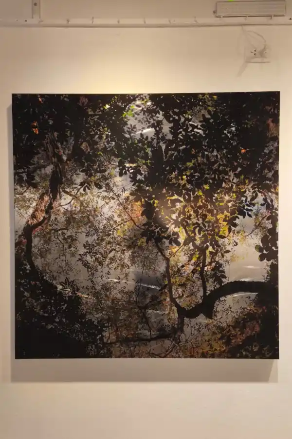 NATURALEZA. Juliet Ruiz Fernández presentó su fotografía sobre acero “Universo Yungas”, y fue premiada por el jurado del salón.