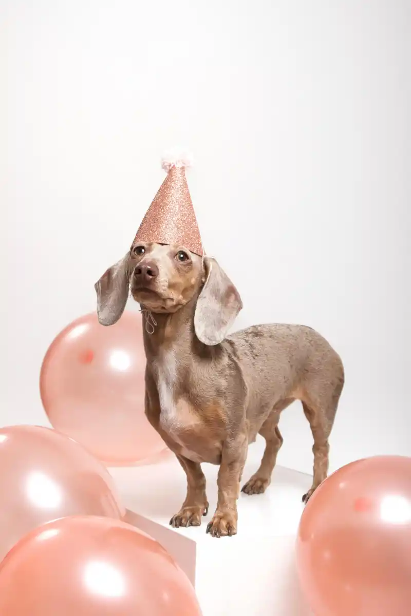 La “salchimanía”: del amor en casa al estrellato en redes