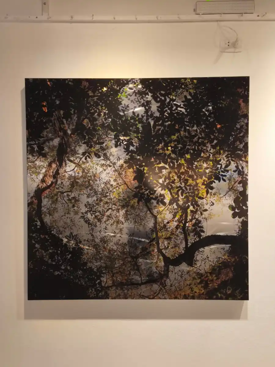 NATURALEZA. Juliet Ruiz Fernández presentó su fotografía sobre acero “Universo Yungas”, y fue premiada por el jurado del salón.