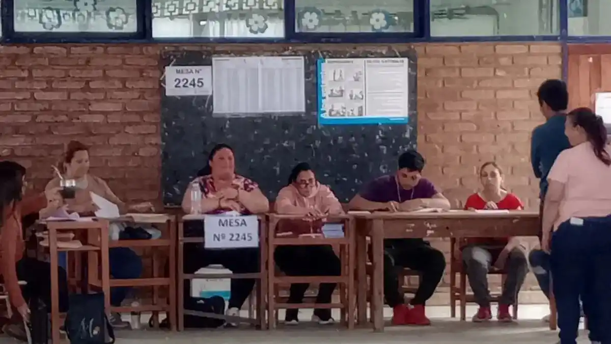 Elecciones en Corrientes: una presidenta de mesa fue reemplazada porque no sabía leer ni escribir