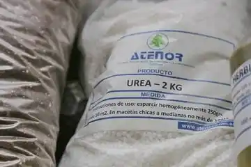 Atenor HNO SRL: más de 50 años acompañando al agro, la industria y la construcción