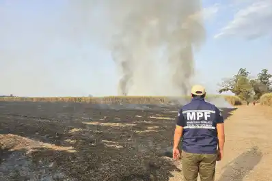 Un incendio afectó 50 hectáreas de cañaverales en Mancopa