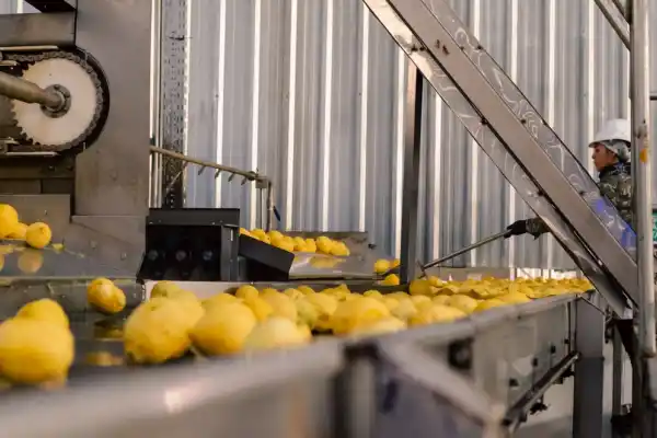Día de la Industria: Tucumán, orgullo productivo del NOA