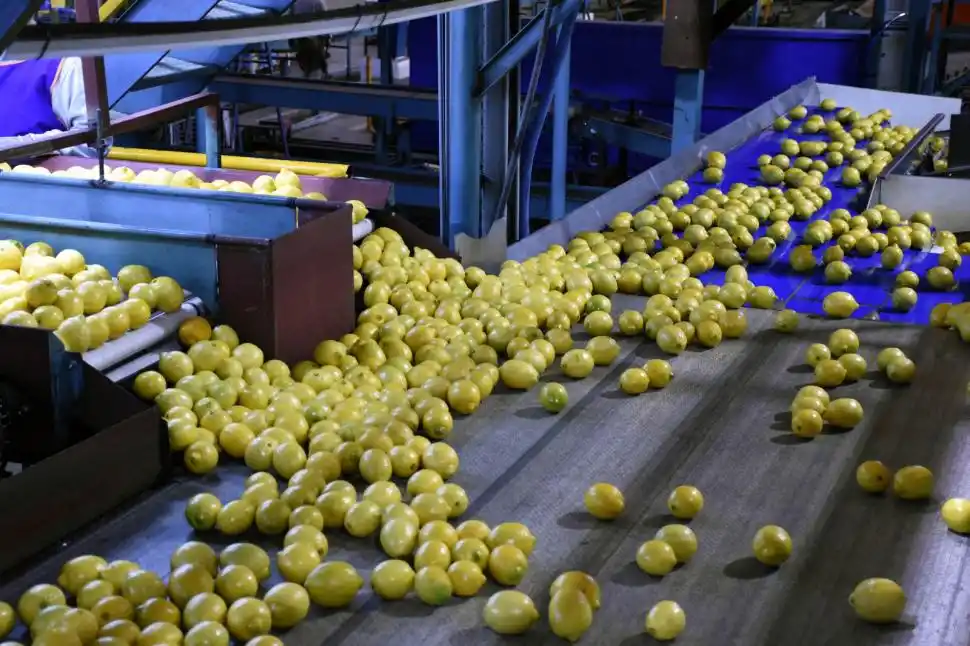 Corredor bioceánico: oportunidad estratégica para Ledesma y las economías del NOA