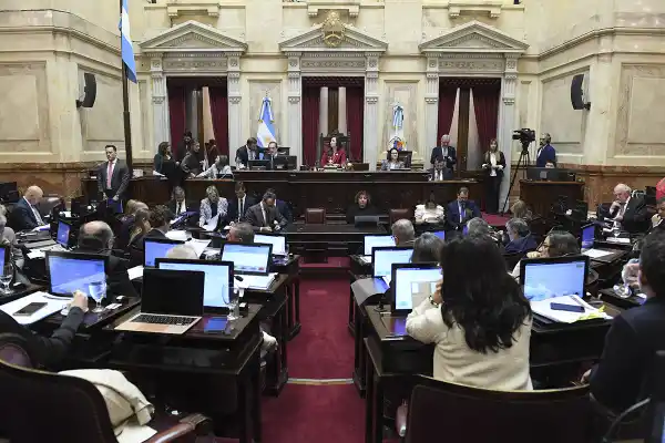 La emergencia en discapacidad vuelve a irrumpir en el Congreso
