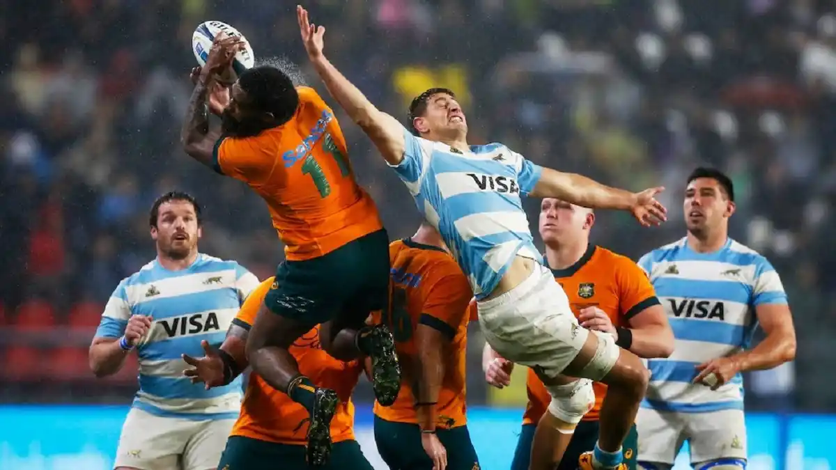 Los Pumas en modo Rugby Championship: tras vencer a los All Blacks ya piensan en los Wallabies