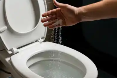 Truco de limpieza: ¿Por qué se volvió viral tirar sal dentro del inodoro?