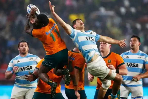 Los Pumas en modo Rugby Championship: tras vencer a los All Blacks ya piensan en los Wallabies