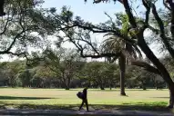 La contaminación del aire disparó las consultas respiratorias en Tucumán